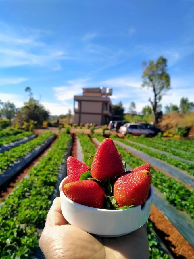Divine Resort - Mahabaleshwar Панчгани Екстериор снимка